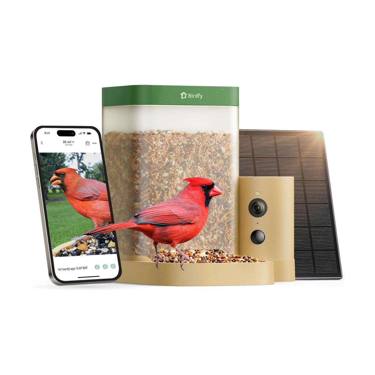 Birdfy Smart Bird Feeder with Camera for Beginners, Solar Powered Rookie