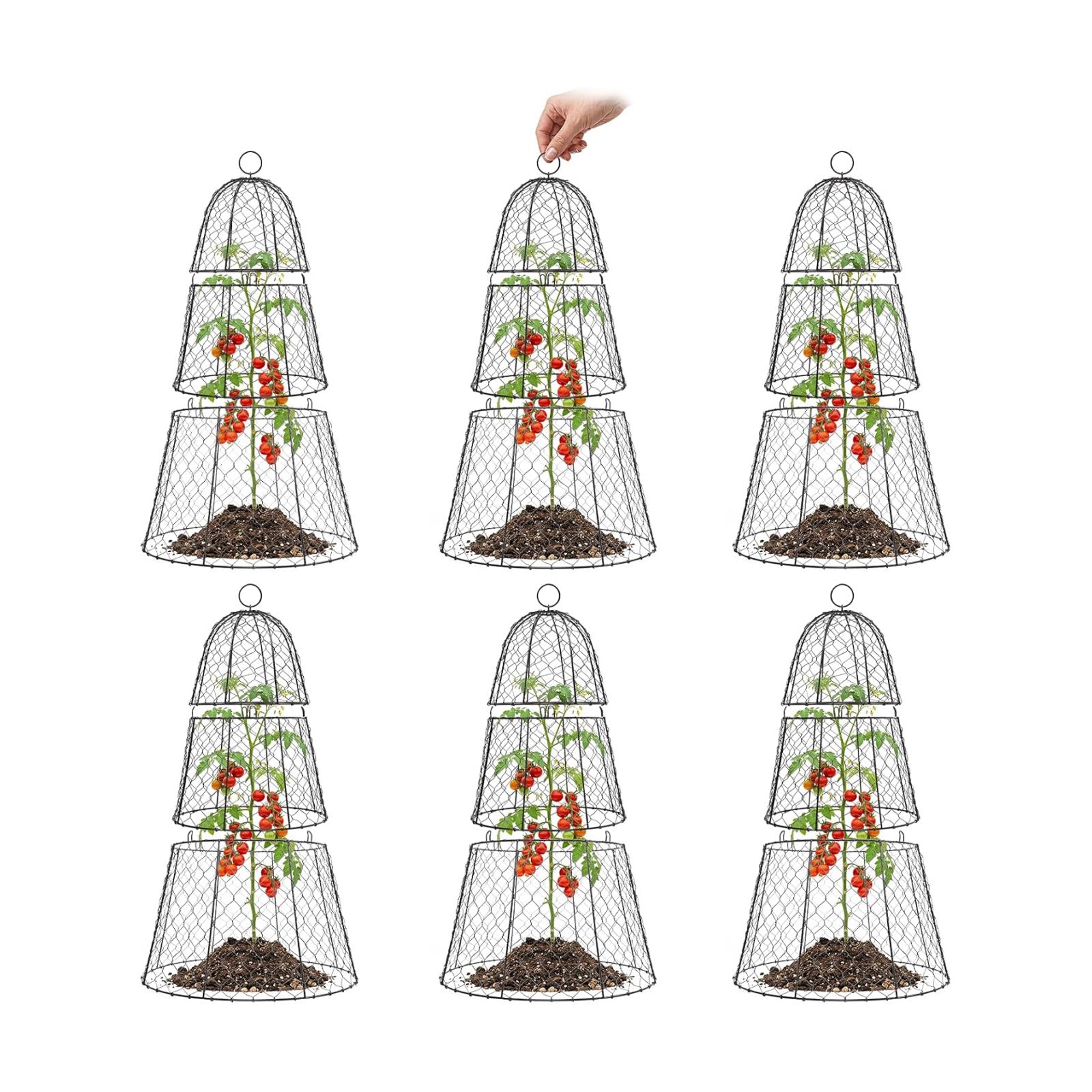 SPECILITE 6 Pack 14"×14"×20" Garden Cloches for Plants with 3 Split Design | Rustproof, with Ground Stakes, Sturdy