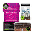 Mushroom Grow Kit – All-in-One 4LB Grow Bag with Self-Healing Port – Fast-Colonizing Universal Substrate for Any