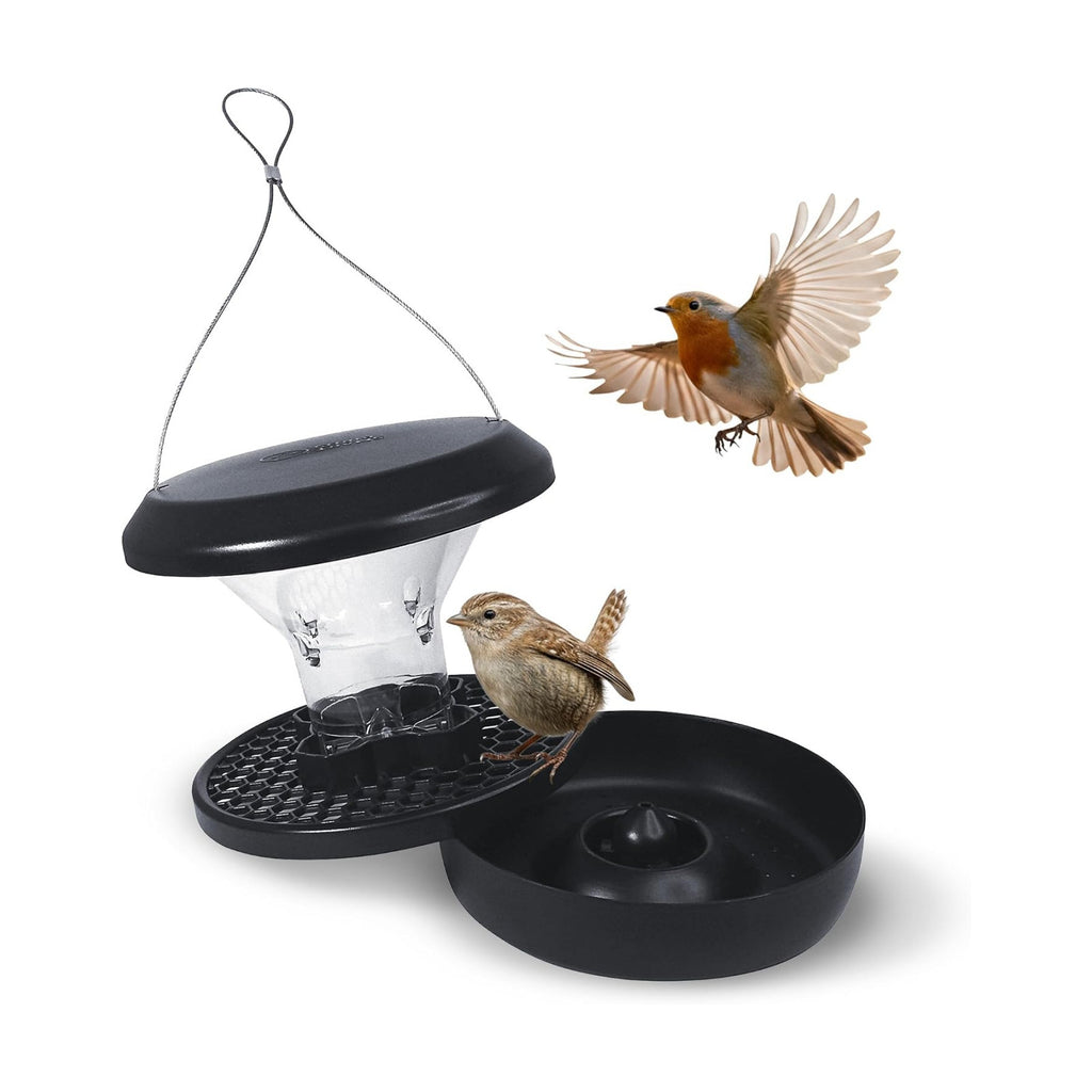 SWISSINNO Squirrel Proof Bird Feeder with Solid Metal Base - No Spill
