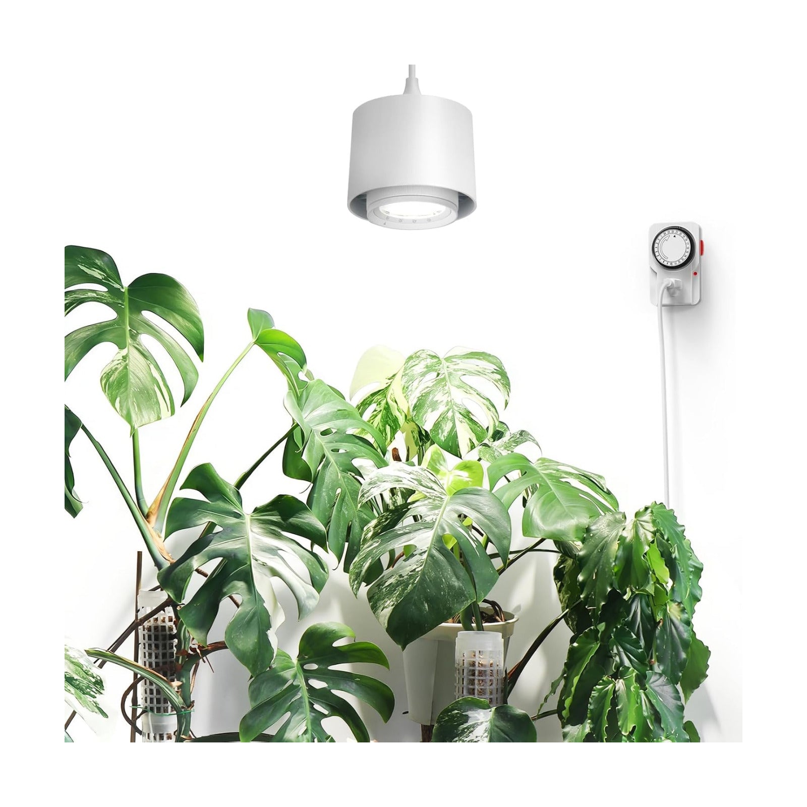 Barrina TR40 Hanging Plant Lights for Indoor Plant, 40W 5000K Full Spectrum | Adjustable Beam Angle (15°-60°), High