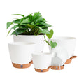 Self Watering Pots for Inoor Ourdoor Plants 8/7/6.5/6/5" Plastic Planters | Drainage Holes & Water Level Indicator