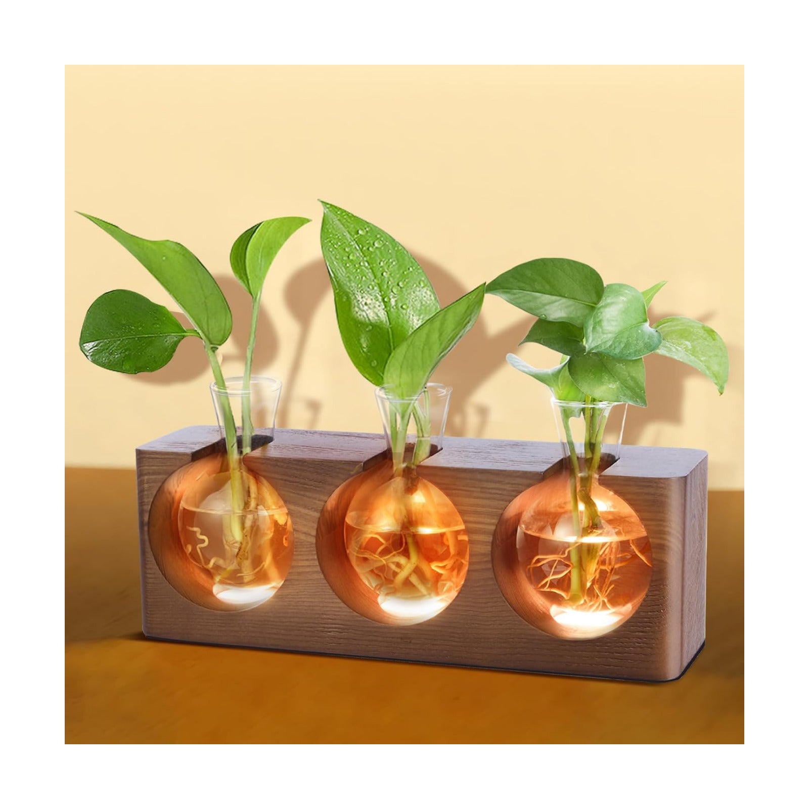 Wooden Stand Plant Propagation Station with 9-Level Adjustable LED Lights | Plant Terrarium with 4 Modes, 3 Glass