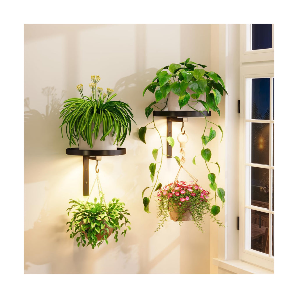 iDavosic.ly Plant Wall Hanger with Grow Lights Set of 2 for Indoor, Black | Metal Floating Flower Display Holder Stand