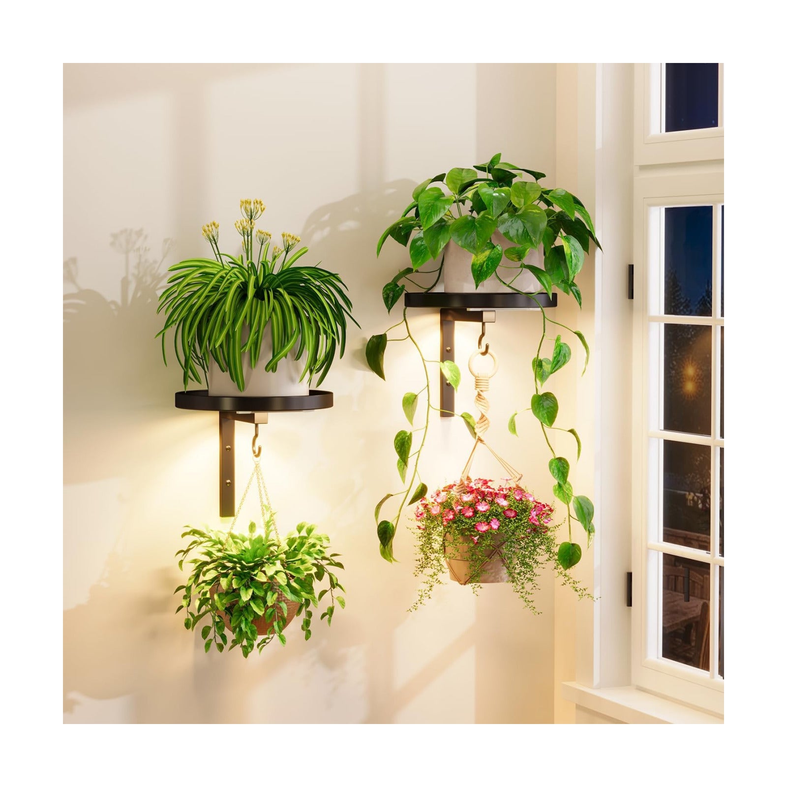 iDavosic.ly Plant Wall Hanger with Grow Lights Set of 2 for Indoor, Black | Metal Floating Flower Display Holder Stand