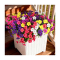 INQCMY Artificial Fake Petunias Flowers for Outdoors Spring Home Decoration