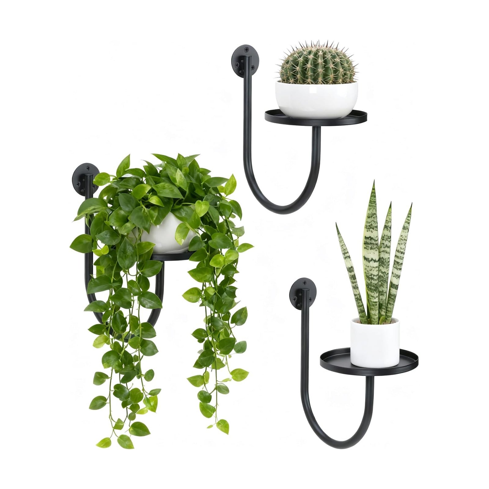 Wall Plant Holder and Hanging Planters for Indoor Plants,Plant Hangers for Indoor Wall Decor and Outdoor Plant Stand(3