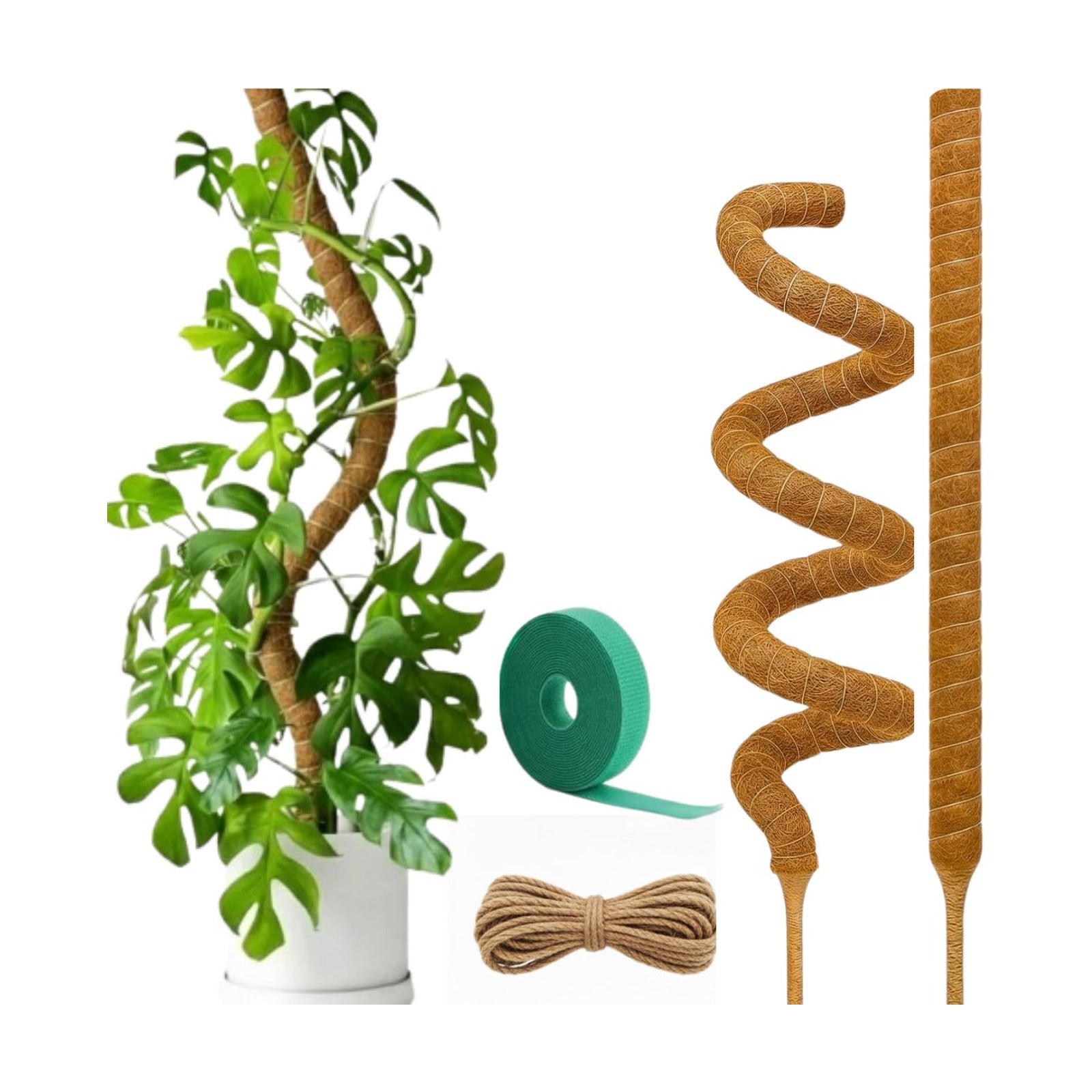 Bendable Moss Pole for Plants | 2 Pack 60 Inch Tall Moss Pole Monstera Plant Support | Large Poles for Climbing Plants