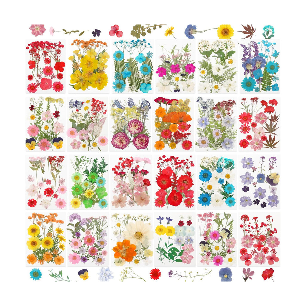 428 Pcs Dried Pressed Flowers for Resin,Real Nature Dried Flowers for Craft