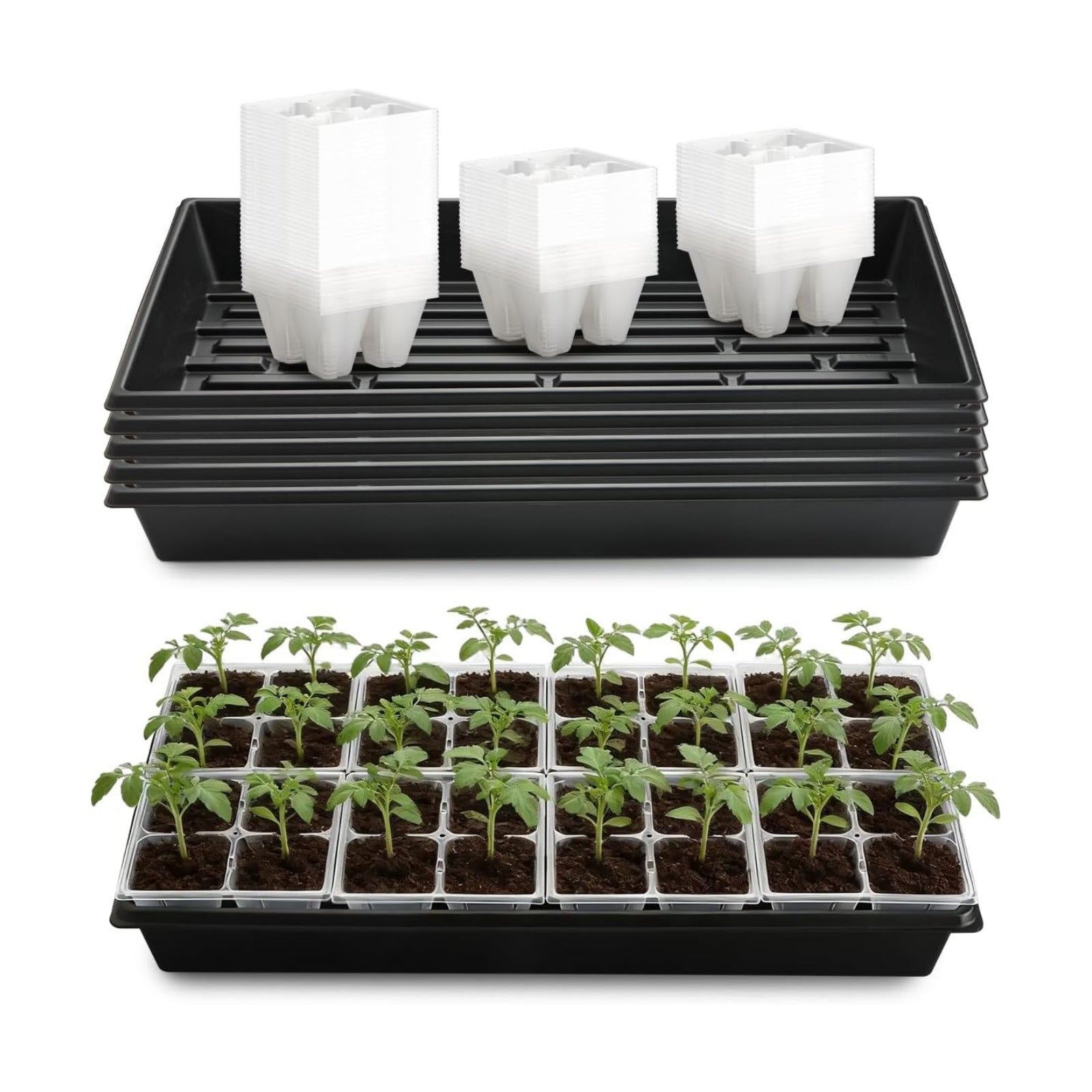 RooTrimmer 5 Pack Heavy Duty 1020 Trays and 40 Pack Clear 4 Cell Seed Starter Trays with Large Drainage Holes, Easy