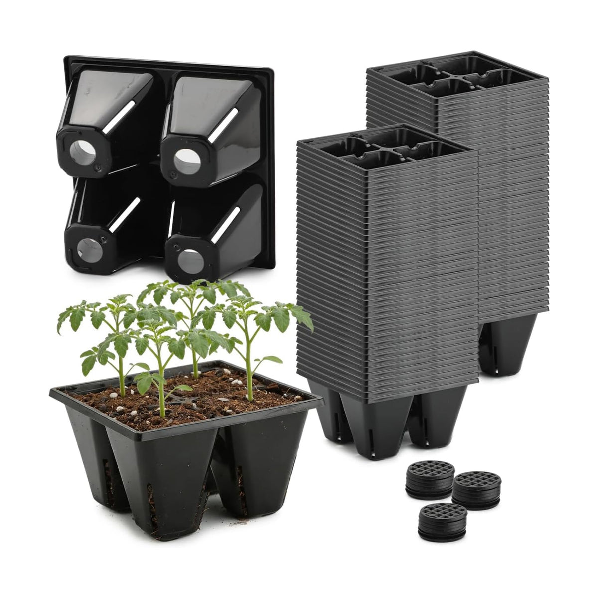 RooTrimmer 80 Pack Reusable 4-Cell Seed Starter Tray for Seedlings, Easy Watering Seed Starting Trays with Drainage Holes for Seed Germination and Plant Start, Fits Standard 1020 Trays, Black
