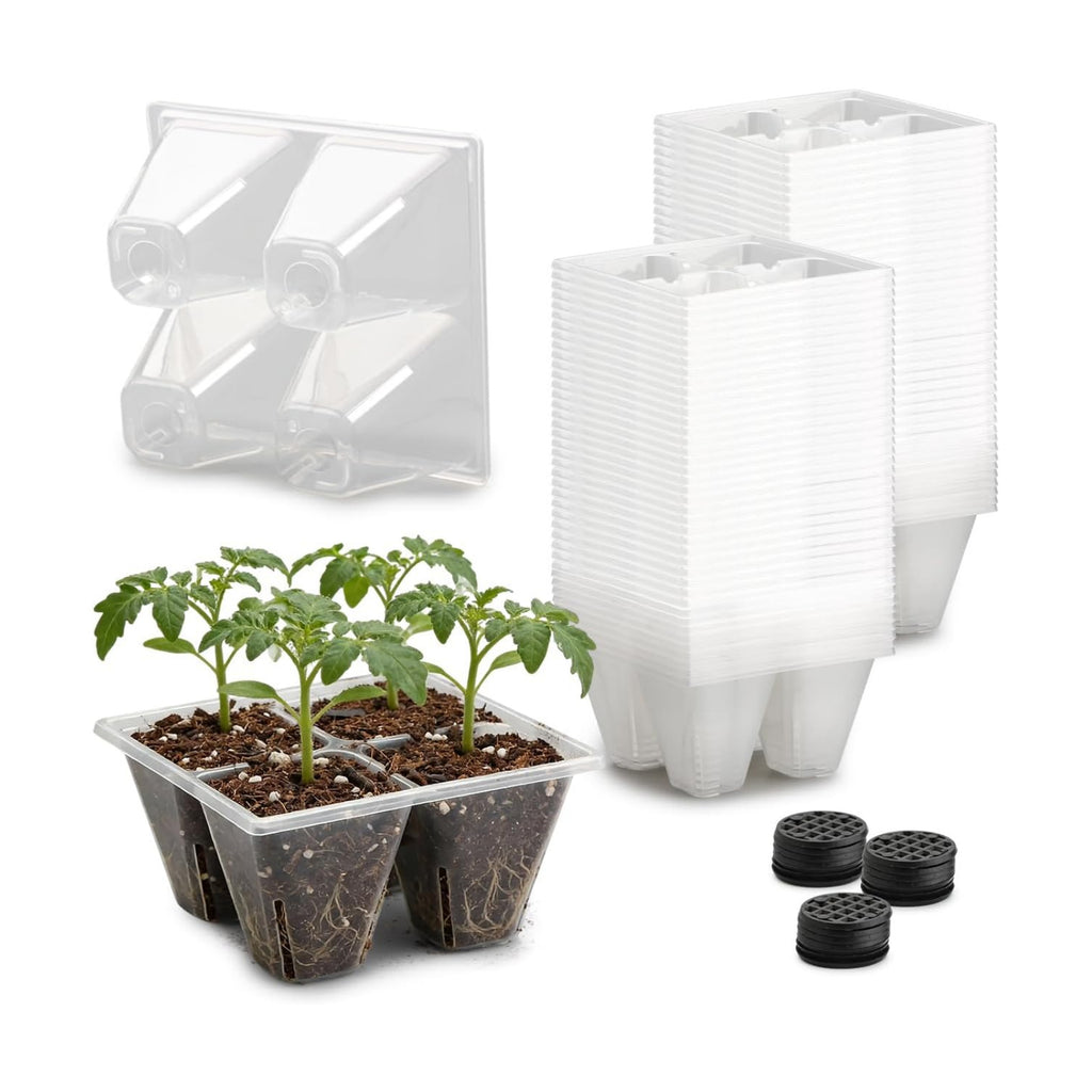 RooTrimmer 80 Pack Reusable 4-Cell Clear Seed Starter Trays - Extra Large Drainage Holes, Easy Transplant, Clear Transparent Tray for Root Observation, Seed Starting, Fits Standard 1020 Flats