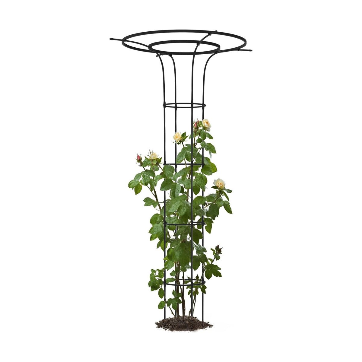 Trellis for Climbing Plants Outdoor - 69"(H), Expandable and Rust-Proof Metal Plant Support, Easy Installation, Garden