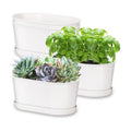 Oliz Set of 4 White Oval Window Sill Planters with Drainage Holes and Trays（7 Inch） for Herbs Basil Orchids Succulents, Modern Herb Garden Planter for Indoor/Outdoor Plants