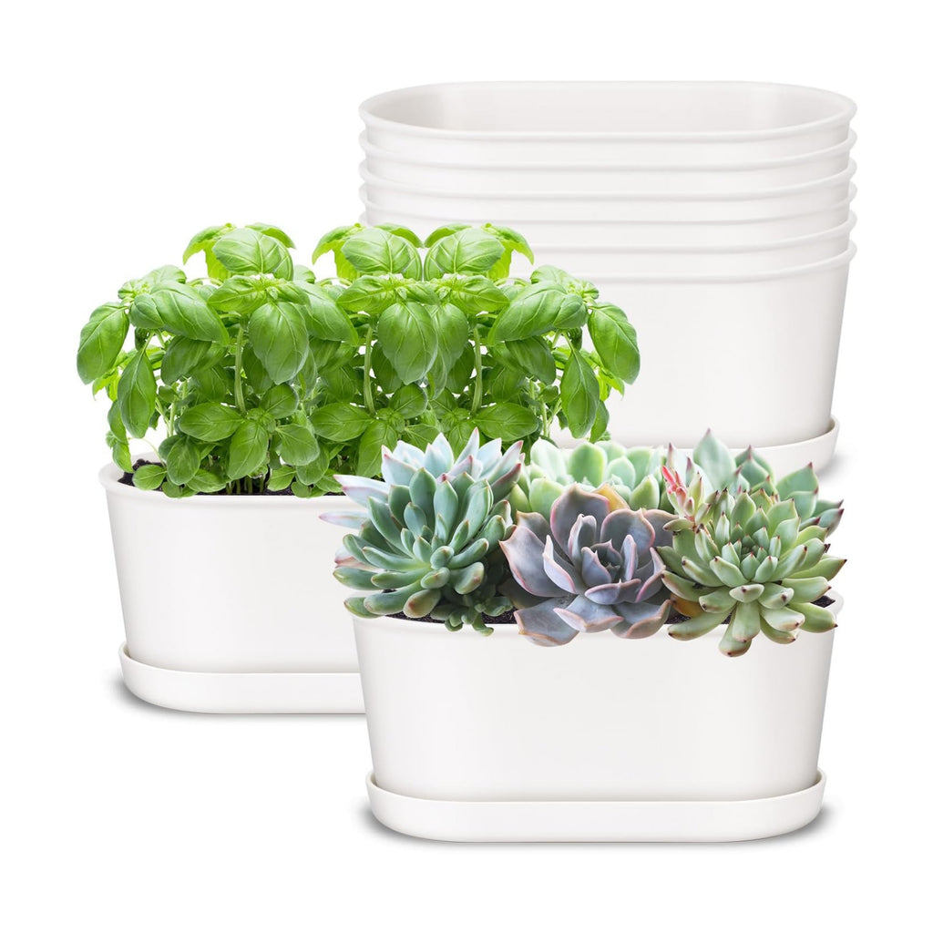 Set of 8 White Oval Window Sill Planters with Drainage Holes and Trays（7 Inch） for Herbs Basil Orchids Succulents