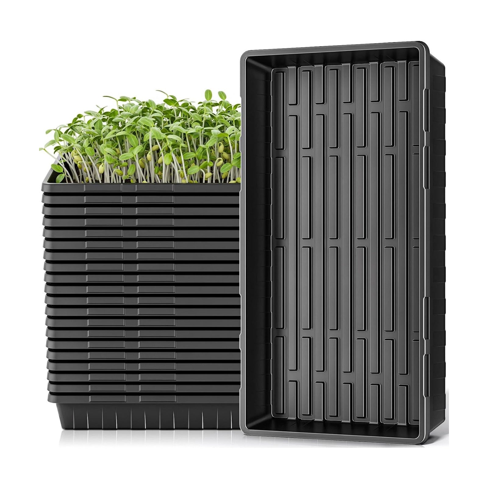 ZJP 20 Pack Extra Thick 1020 Heavy Duty Seed Starter Trays - No Holes, Reusable, 2.44 in Deep, Plastic Plant Growing