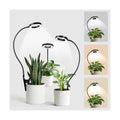 LORDEM Grow Lights for Indoor Plants, 2 in 1 Full Spectrum Plant Light with 360° Gooseneck, 48 LEDs, Auto Timer