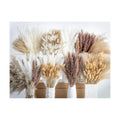 650PCS Natural Dried Pampas Grass Boho Home Decor Bouquet Phragmites Dried Flowers Bouquet for Wedding Floral Arrangements Home Decorations (650PCS)