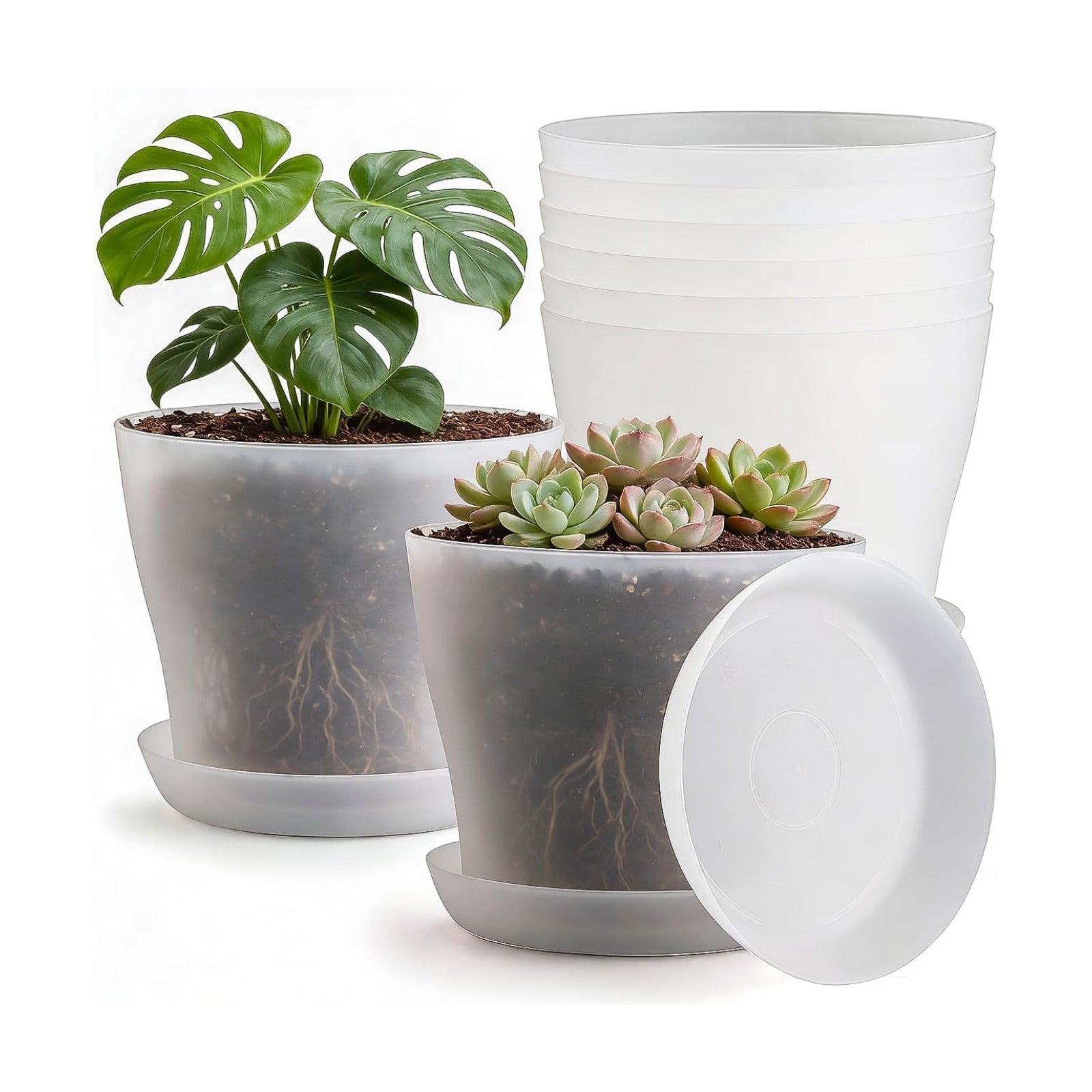 6 Pack 8 Inch Clear Nursery Plant Pots with Large Drainage Holes &Saucer | Plastic Translucent Flower Pots - Durable