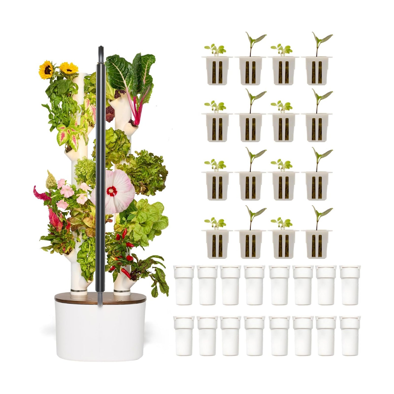 Gardyn Studio 2 Hydroponics Growing System - 16 Plants, Smart Tower | New & improved, non-GMO plants, herbs