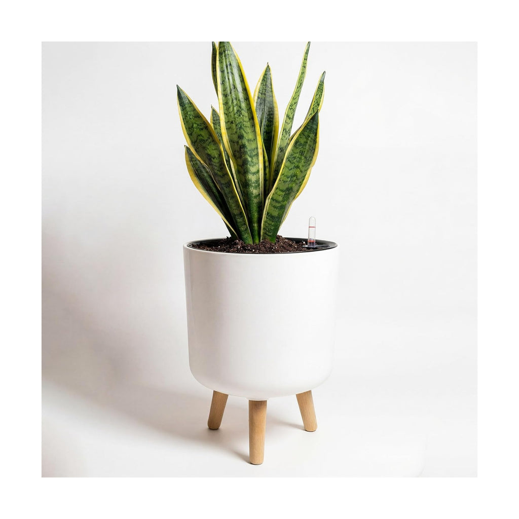 Bamworld Self Watering Pots for Indoor Plants with Water Level Indicator | 10 inch Plant Pot Plastic Planter with
