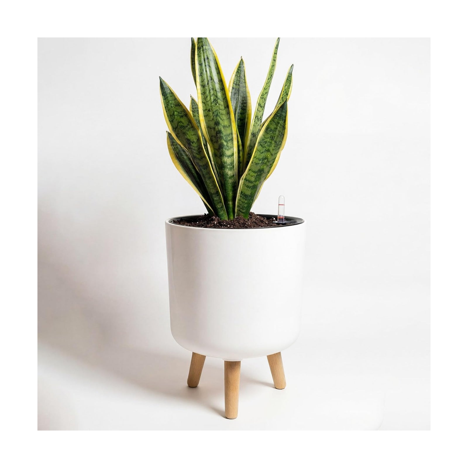 Bamworld Self Watering Pots for Indoor Plants with Water Level Indicator | 10 inch Plant Pot Plastic Planter with
