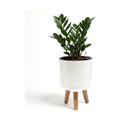 Bamworld Self Watering Pots for Indoor Plants with Water Level Indicator | 8 inch Plant Pot Plastic Planter with Wooden