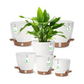 Self Watering Planter with Visual Water Level, 6Pack Small Plastic Pot Set with Drainage Holes and Reservoir Saucers