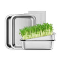 FANHAO 2-Pack Sprouting Tray Kit, Stainless Steel Soil-Free Cultivation Germination Tray, Healthy Wheatgrass Grower