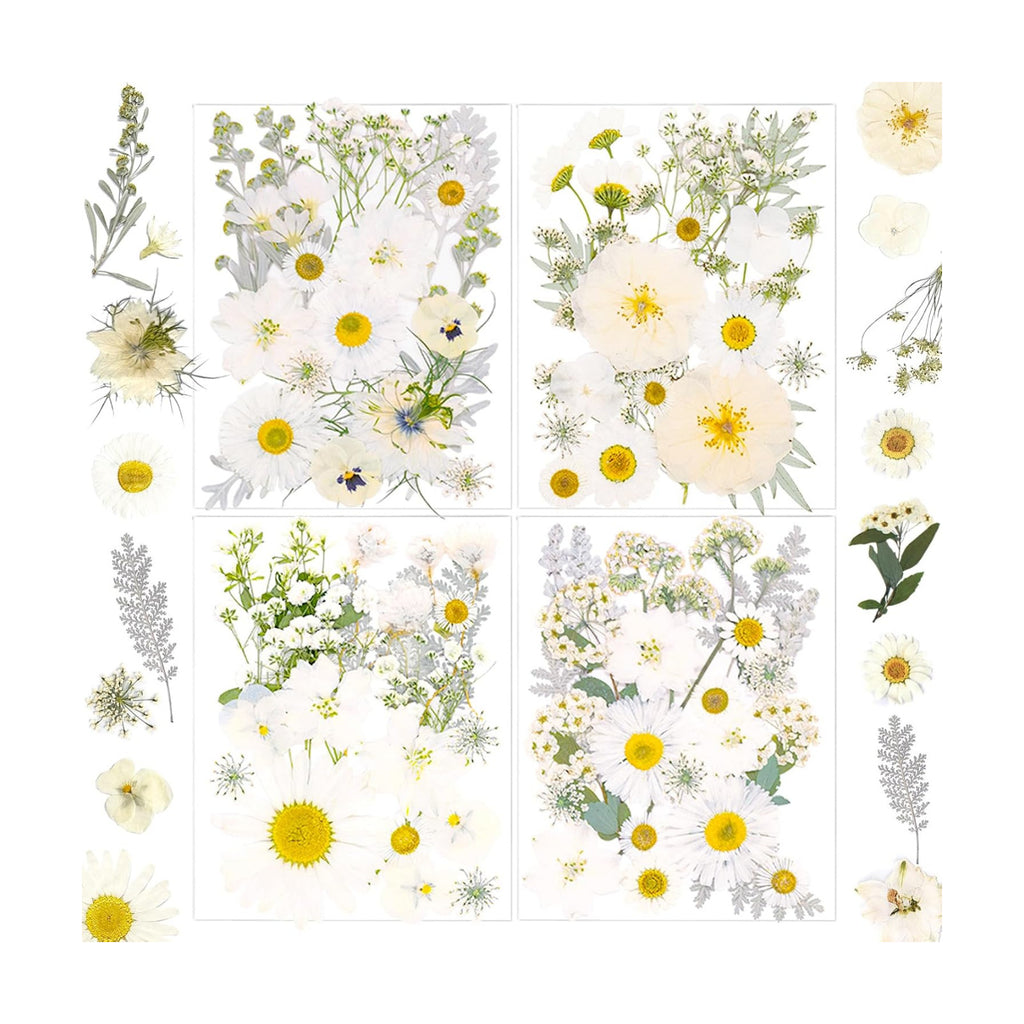 95 Pcs White Pressed Dried Flowers for Resin, Real Natural Bulk Dry Wildflowers Leaves Perfect for Epoxy Molds, DIY Crafts, Home Decor, Soap Candles Jewelry Making