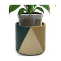 D'vine Dev Cachepot, Clear Pot & Saucer, 6.5 in, Desert Forest, 93-O-C-1 | Dual-Pot System, Root Visibility, Bottom