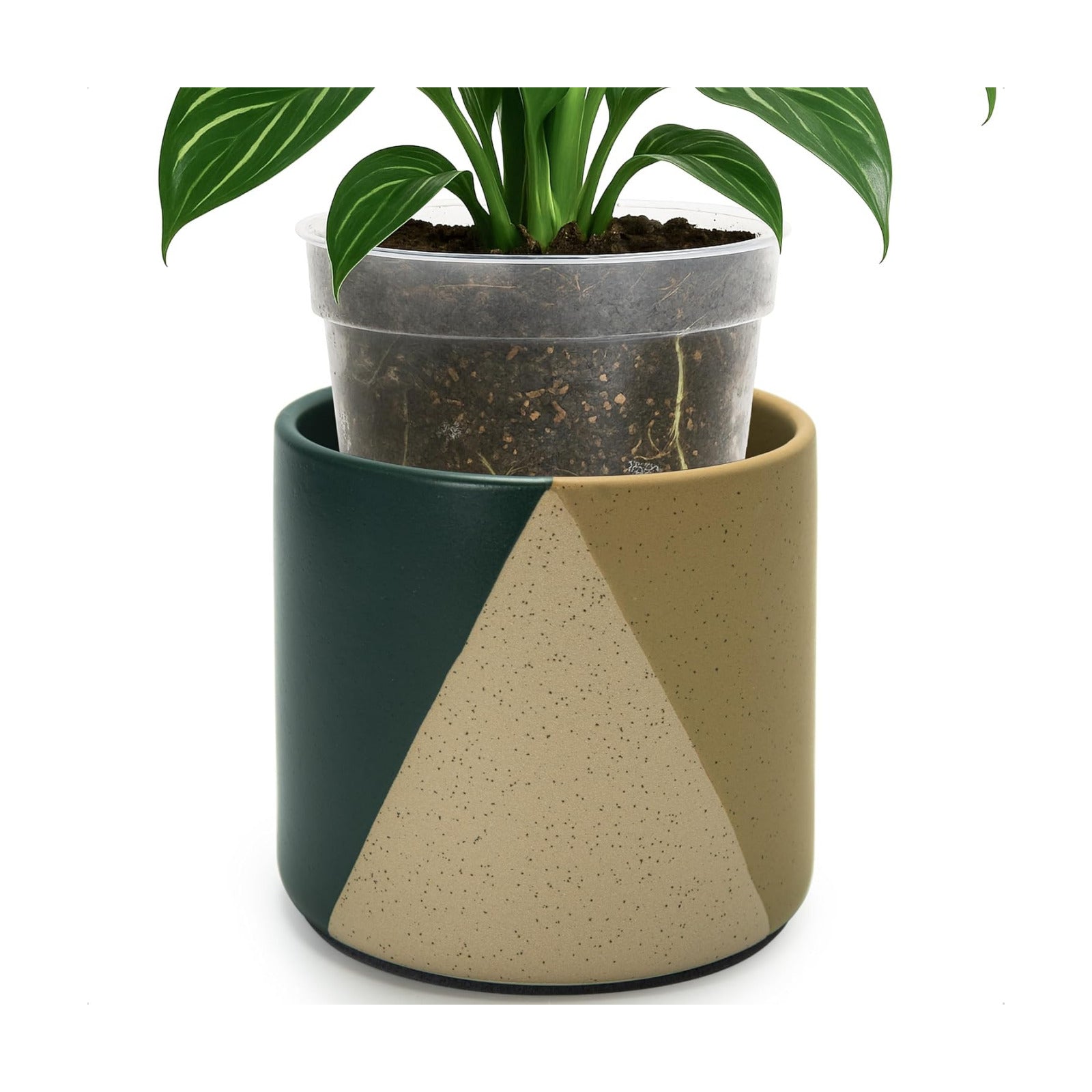 D'vine Dev Cachepot, Clear Pot & Saucer, 6.5 in, Desert Forest, 93-O-C-1 | Dual-Pot System, Root Visibility, Bottom