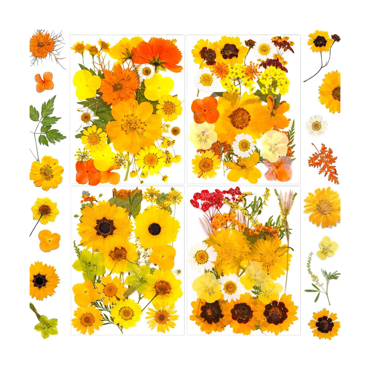 94 Pcs Yellow Pressed Dried Flowers for Resin, Real Natural Bulk Dry Wildflowers Leaves Perfect for Epoxy Molds, DIY Crafts, Home Decor, Soap Candles Jewelry Making