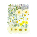 84 Pcs White Dried Pressed Flowers for Resin, Real Natural Bulk Dry Wildflowers Leaves Perfect for Epoxy Molds, DIY Crafts, Nails Soap Candles Jewelry Making, and Home Decor