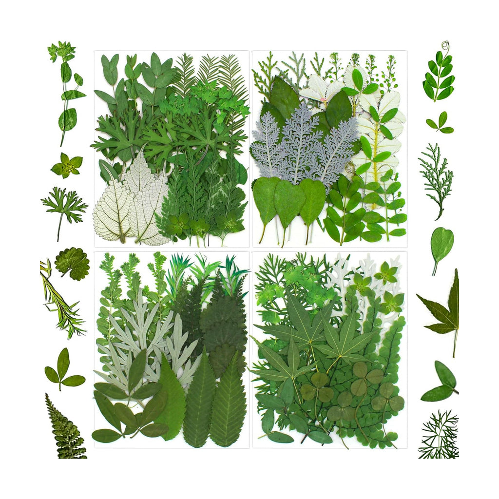 100 Pcs Dried Pressed Flowers Leaves for Resin Molds, Real Natural Bulk Dry Wildflowers Perfect for Epoxy, DIY Crafts, Soap Candles Jewelry Making, and Home Decor