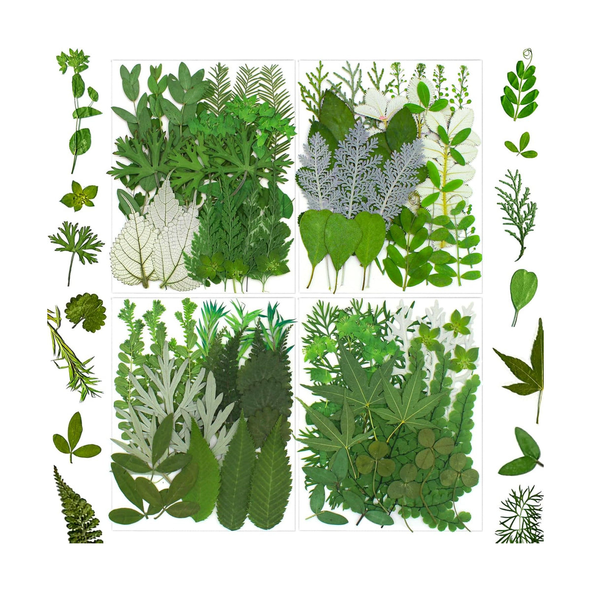 100 Pcs Dried Pressed Flowers Leaves for Resin Molds, Real Natural Bulk Dry Wildflowers Perfect for Epoxy, DIY Crafts, Soap Candles Jewelry Making, and Home Decor