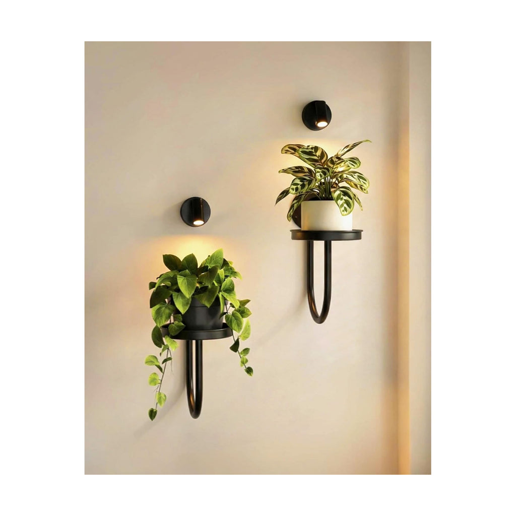 Leaf&lull Wall Plant Holder Planter with Wall Planters for Indoor Plants Plant Hanger Hanging Plant Holder Wall Hanging