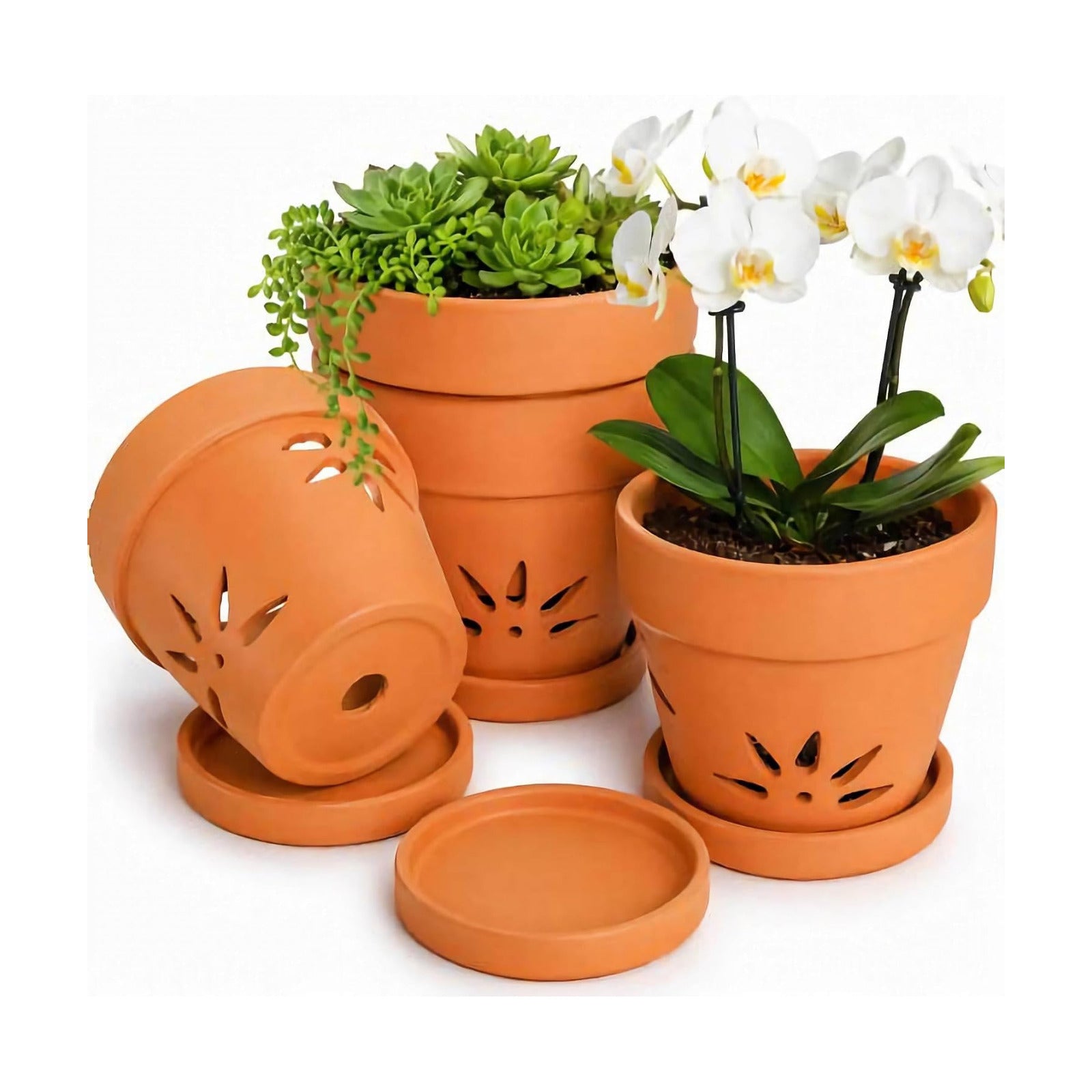 WUWEOT 4 Pack 6 Inch Orchid Pots with Holes and Saucers, Terracotta Clay Orchid Planter Pots for Repotting Garden