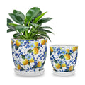 5.3+4.3 inch Ceramic Plant Pots, Set of 2 Blue and White Plant Pot with Drainage Holes and Saucers Small Lemon Indoor