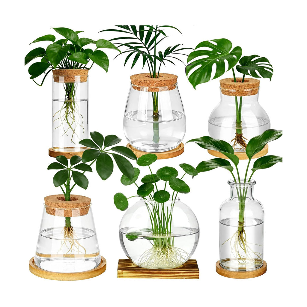 6 Pcs Plants Propagation Stations Glass Planter Terrariums with Wooden Lid and Bamboo Stand Desktop Propagation Vases