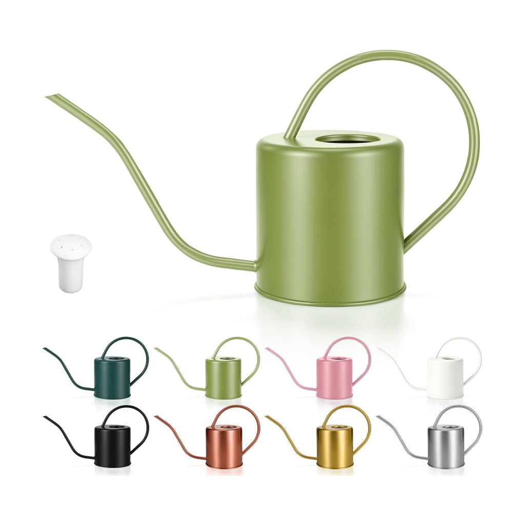 Plant Watering Can, 50 oz / 1500 ml Stainless Steel Metal - Modern Decorative with Long Spout for Indoor Potted Plants, Bonsai, Garden Flowers, Saga Green