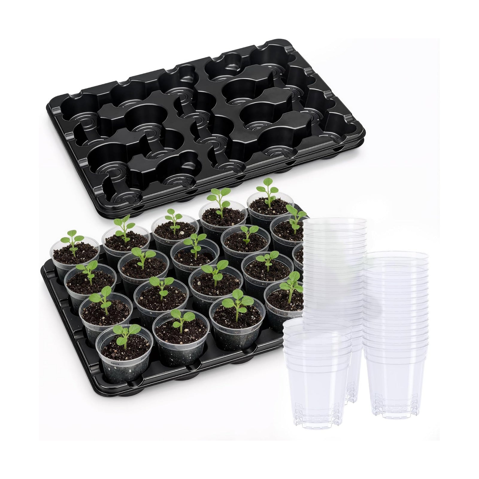 2 Pack 20 Cell Seed Starting Trays with 40 Clear 3 Inch Plant Pots | Reusable thick wall trays with raised bases