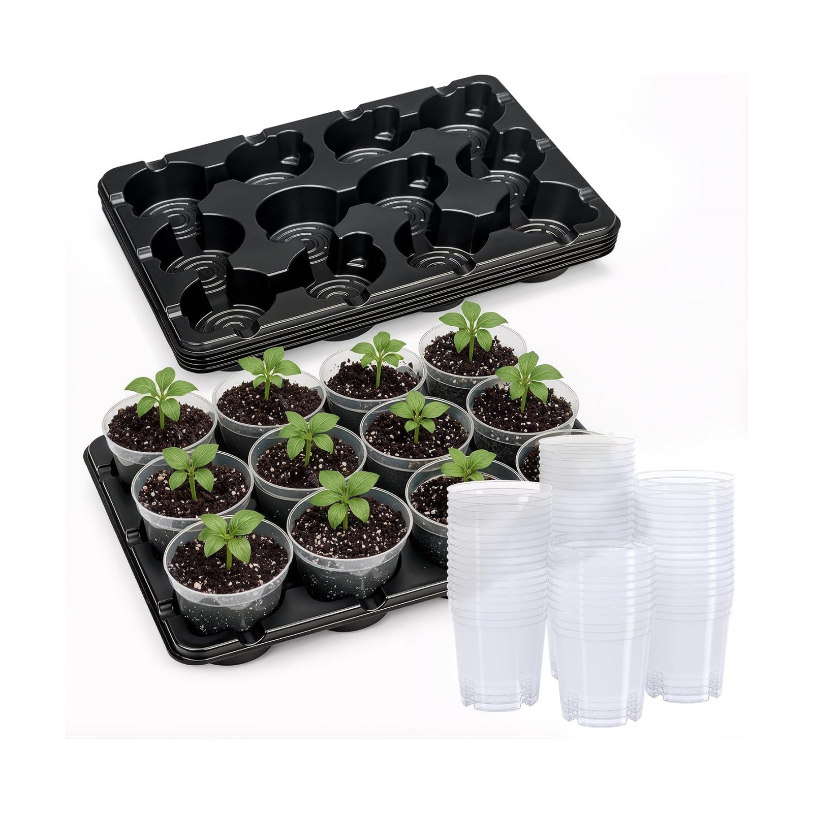 5 Pack 12 Cell Seed Starter Trays with 60 4 Inch Nursery Pots | Includes five 12 cell trays and 60 clear 4 inch nursery