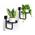 Wall Plant Holder, 7.9 Inch Large Hanging Plant Holder Wall Planters for Indoor Plants, Wall Mounted Plant Holder