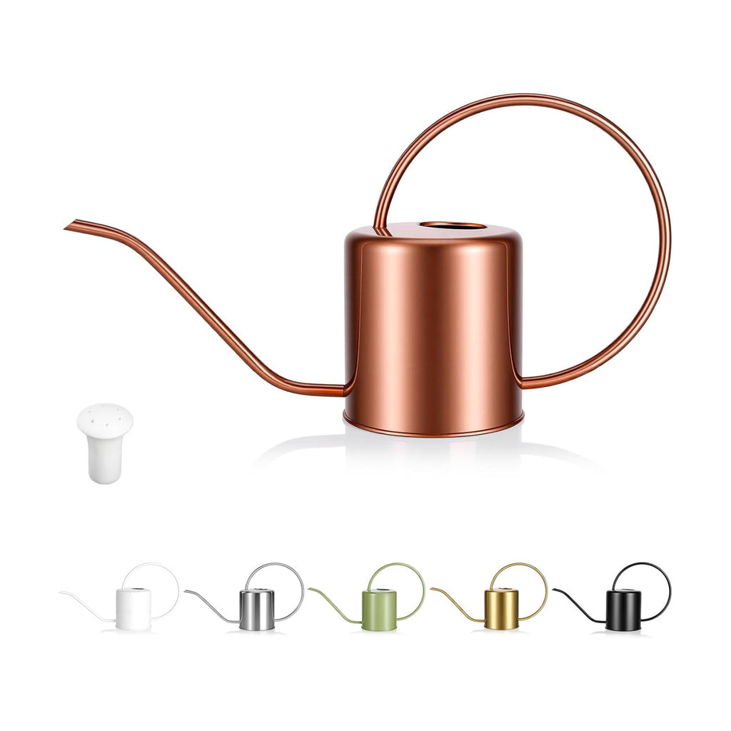 Plant Watering Can, 50 oz / 1500 ml Stainless Steel Metal - Modern Decorative with Long Spout for Indoor Potted Plants