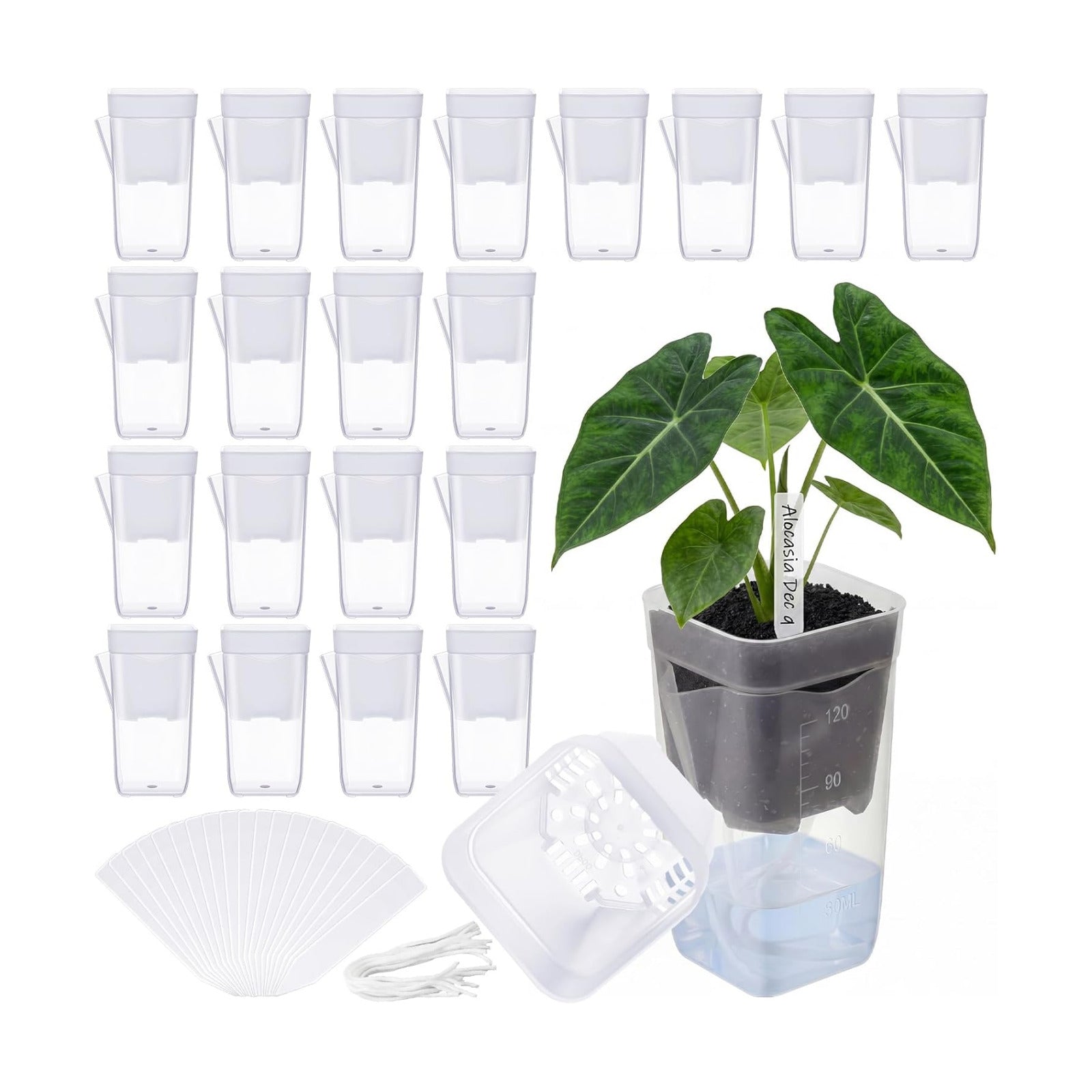 LemonRoad 20 Pack 2" Small Self Watering Pots for Indoor Plants | with 20 Plant Label, Mini Clear Plastic Planters with