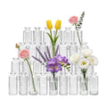 Glass Bud Vases 30 Pack, Small Clear Flower Vases for Centerpieces in Bulk