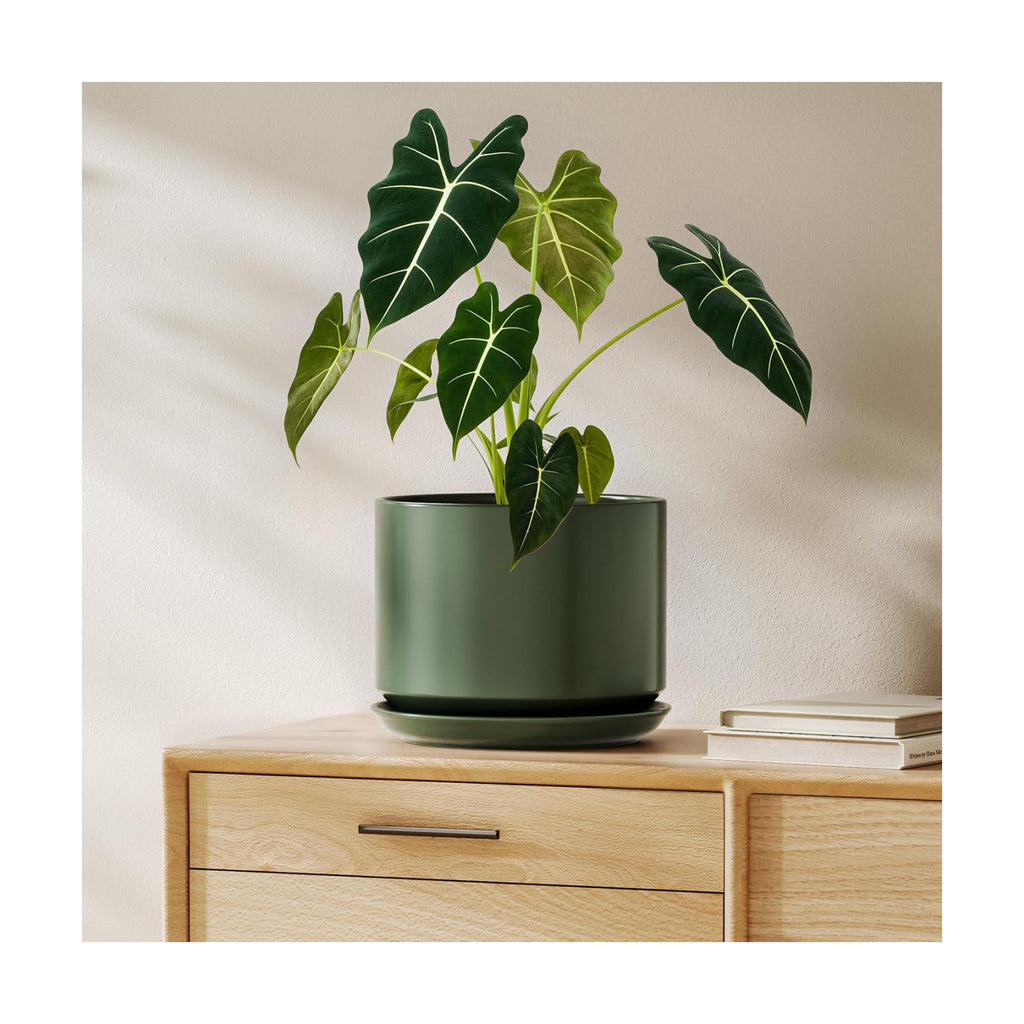 LE TAUCI 8 Inch Plant Pot, Ceramic Pots for Plants, Forest Green