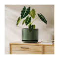 LE TAUCI 8 Inch Plant Pot, Ceramic Pots for Plants, Forest Green