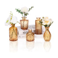 5pcs Amber Glass Bud Vase Set, Gold Small Flower Vases for Centerpieces